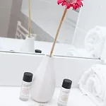 Apartamento Terra Gasconha