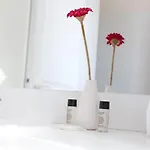 Apartamento Terra Gasconha Barbaste