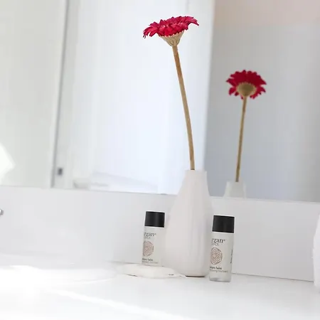 Apartmán Terra Gasconha Barbaste